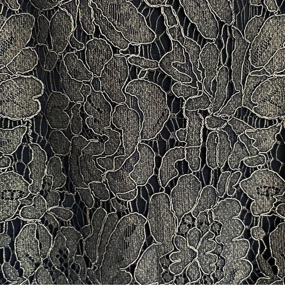 7TH Ave Design Studio Black Skirt with Gold Lace Size XL - Picture 3 of 10